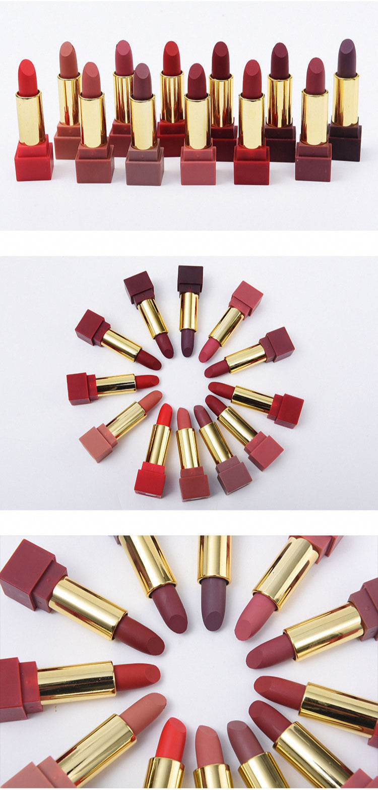 Matte Lipstick Gift Set – 12 Colors, Square Tube, Bold & Trendy Shades with Velvet Finish
