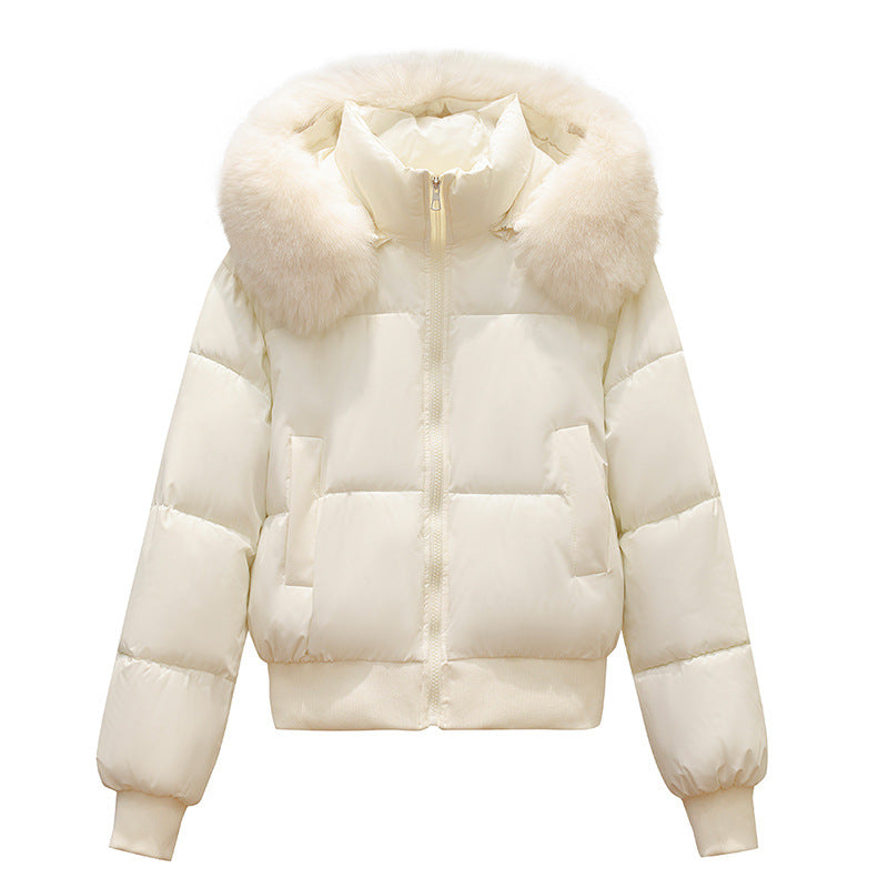 Hooded Large Fur Collar Cotton Short Padded Jacket
