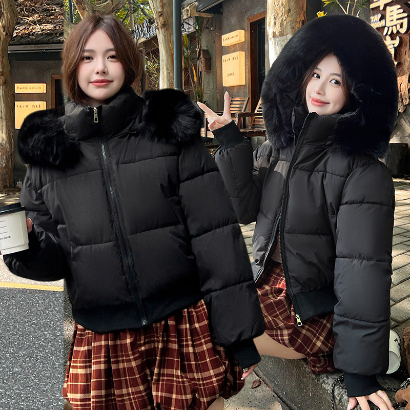 Hooded Large Fur Collar Cotton Short Padded Jacket